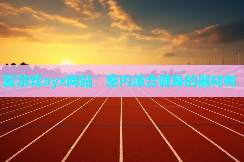 爱游戏ayx网站：室内适合健身的器材有