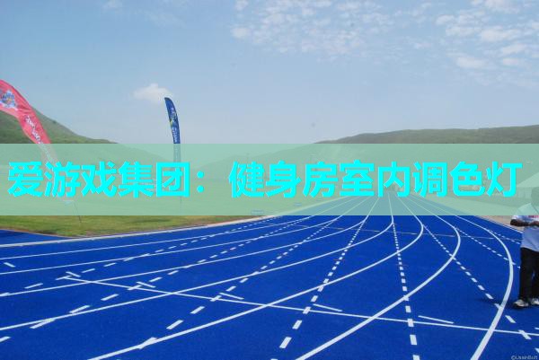爱游戏集团：健身房室内调色灯
