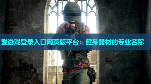 爱游戏登录入口网页版平台：健身器材的专业名称