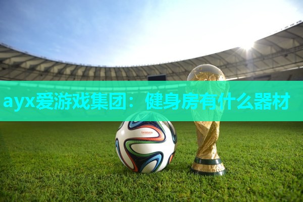 ayx爱游戏集团：健身房有什么器材