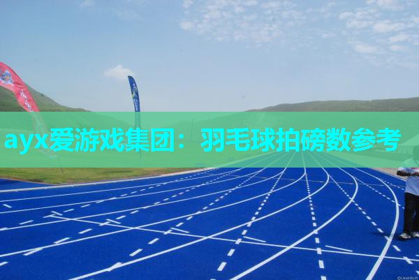 ayx爱游戏集团：羽毛球拍磅数参考