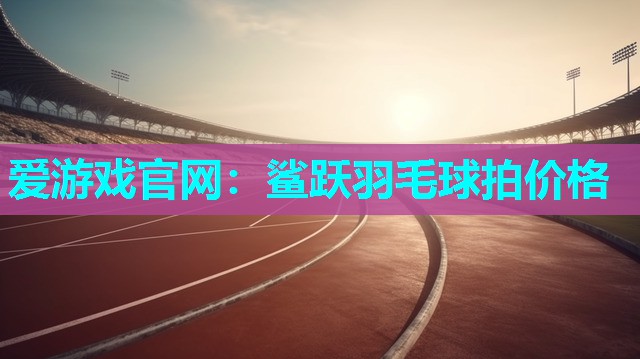 爱游戏官网：鲨跃羽毛球拍价格