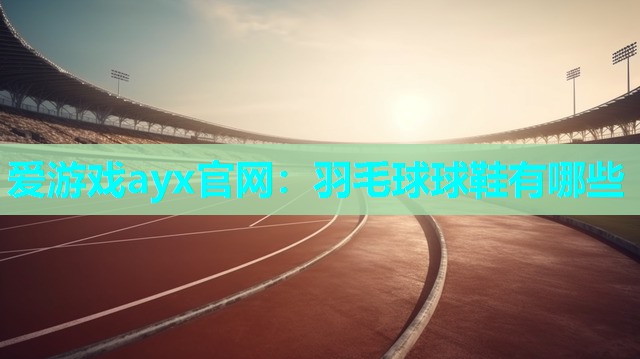 爱游戏ayx官网：羽毛球球鞋有哪些