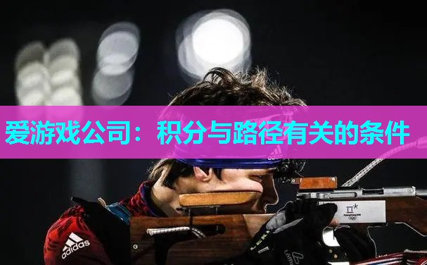 爱游戏公司：积分与路径有关的条件