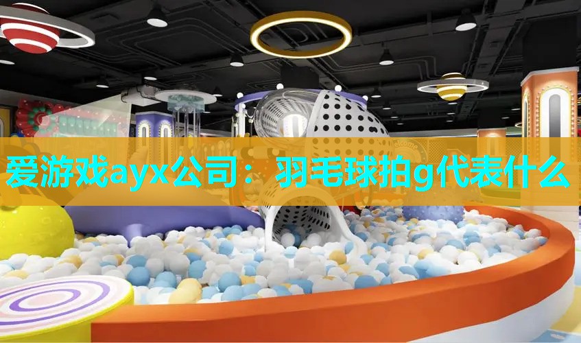 爱游戏ayx公司：羽毛球拍g代表什么