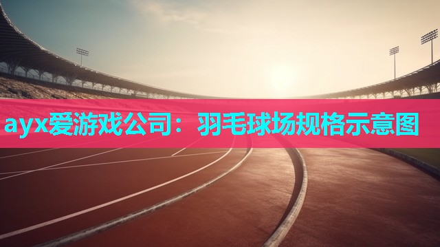 ayx爱游戏公司：羽毛球场规格示意图