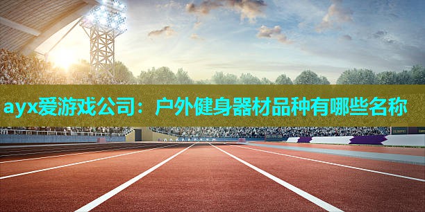 ayx爱游戏公司：户外健身器材品种有哪些名称