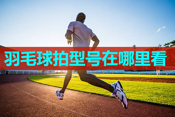 羽毛球拍型号在哪里看