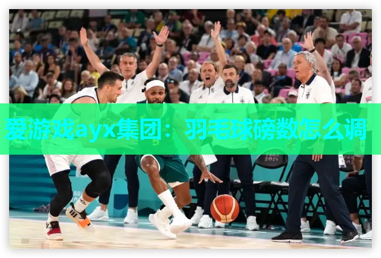 爱游戏ayx集团：羽毛球磅数怎么调