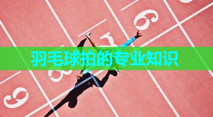 羽毛球拍的专业知识