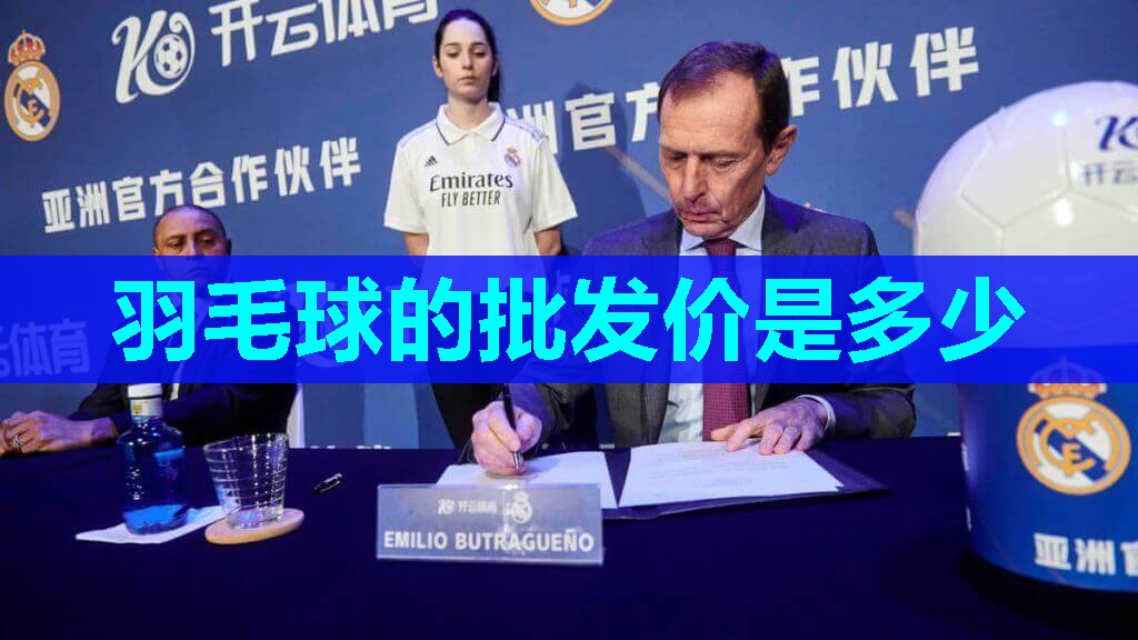 羽毛球的批发价是多少