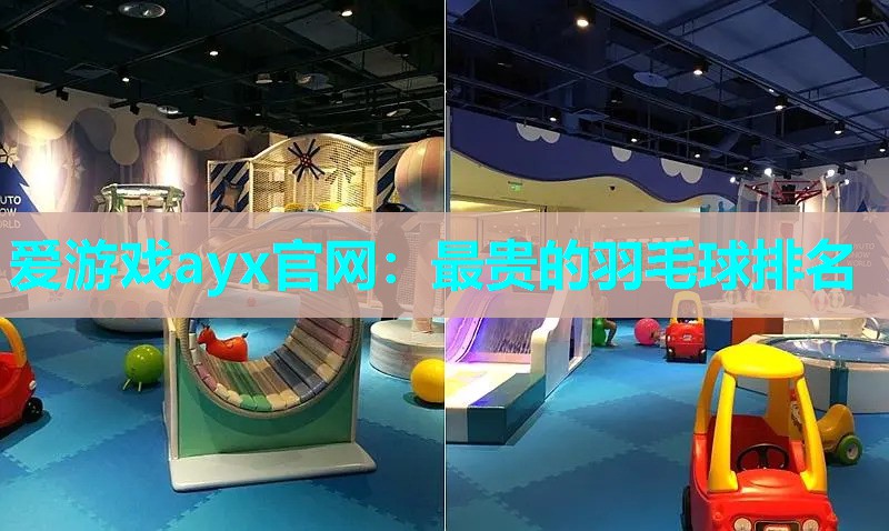 爱游戏ayx官网：最贵的羽毛球排名