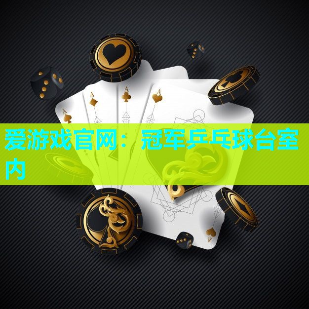 冠军乒乓球台室内