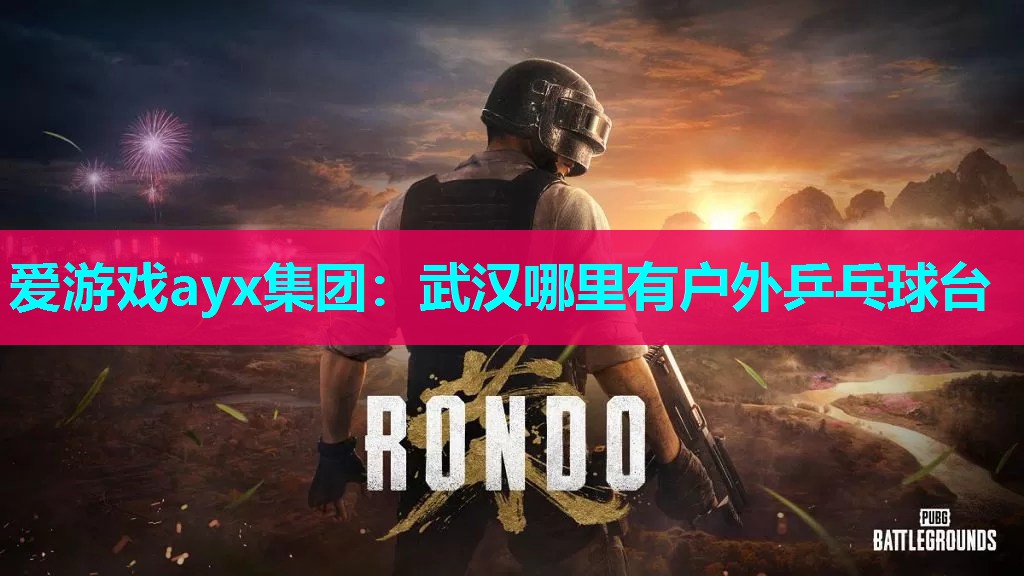 武汉哪里有户外乒乓球台