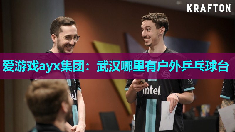 武汉哪里有户外乒乓球台