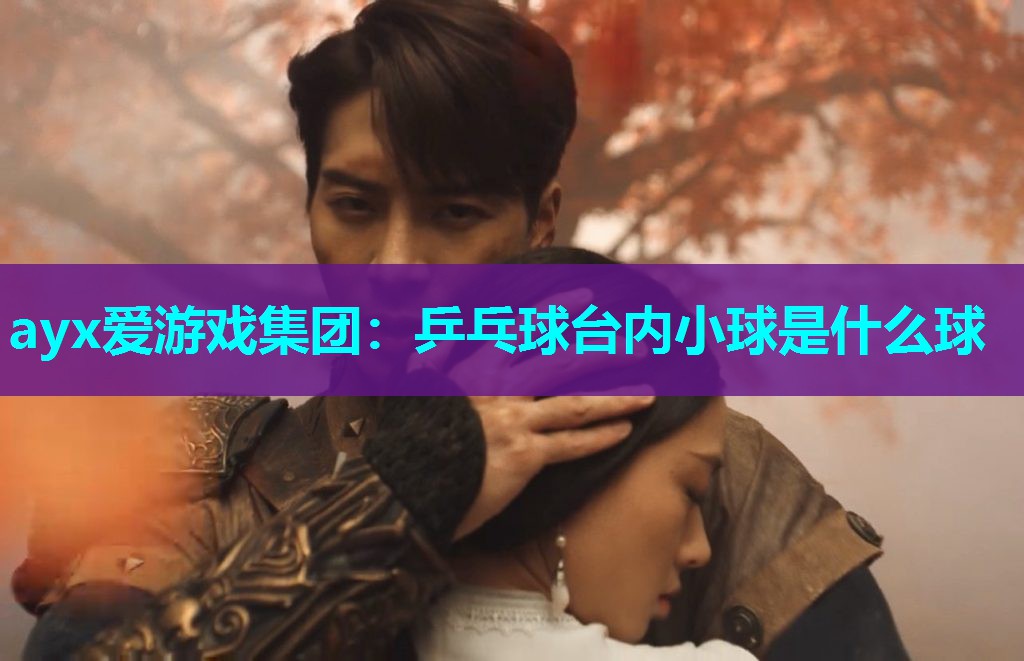 乒乓球台内小球是什么球