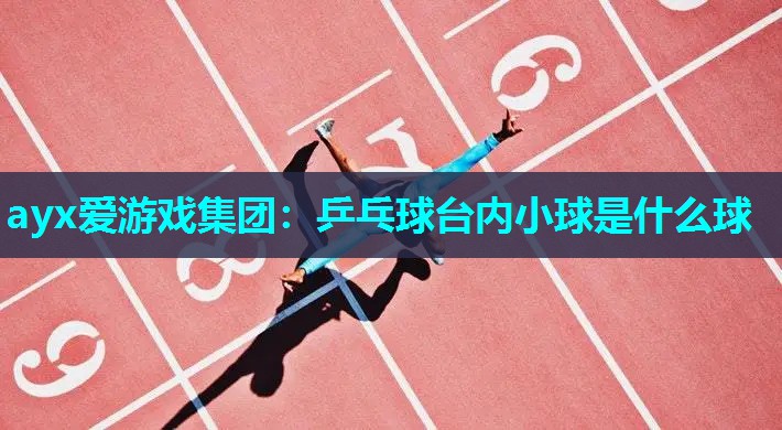 乒乓球台内小球是什么球
