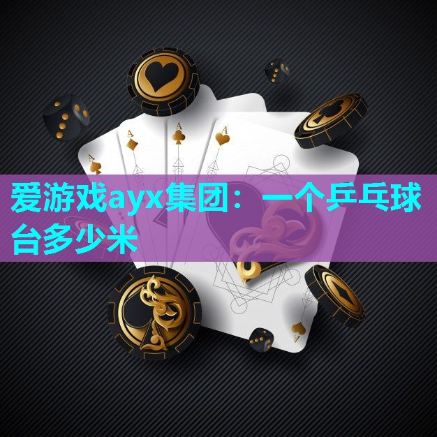 一个乒乓球台多少米