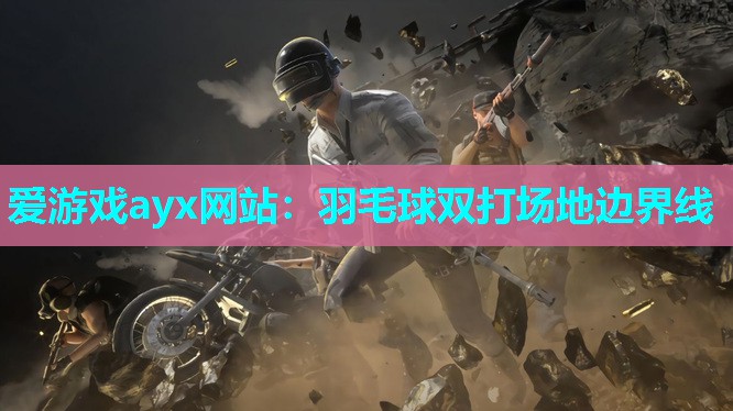 羽毛球双打场地边界线