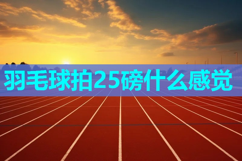 羽毛球拍25磅什么感觉