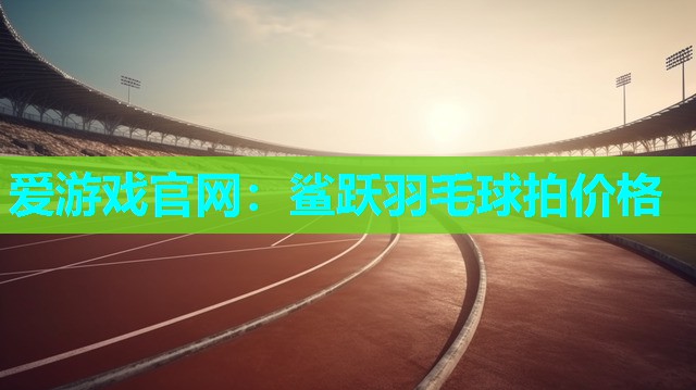 鲨跃羽毛球拍价格