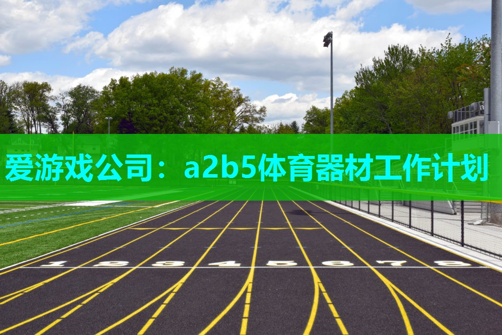 a2b5体育器材工作计划