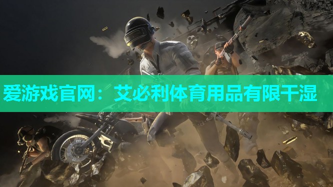 艾必利体育用品有限干湿