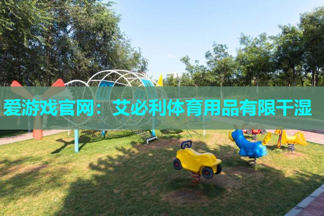 艾必利体育用品有限干湿