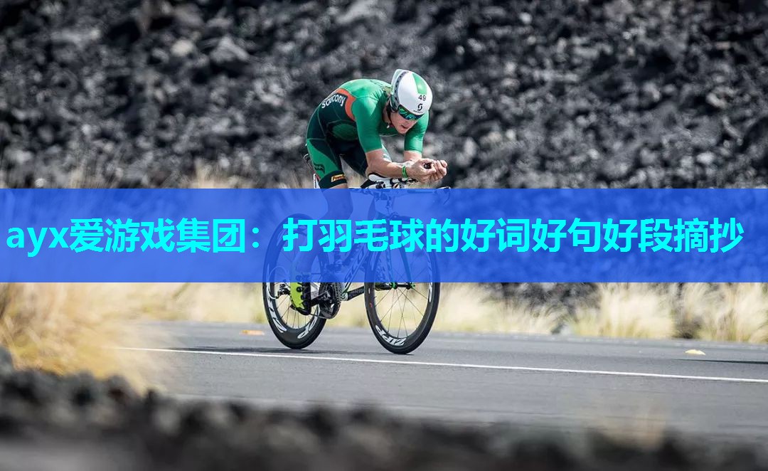 打羽毛球的好词好句好段摘抄