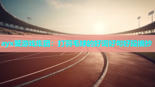 打羽毛球的好词好句好段摘抄