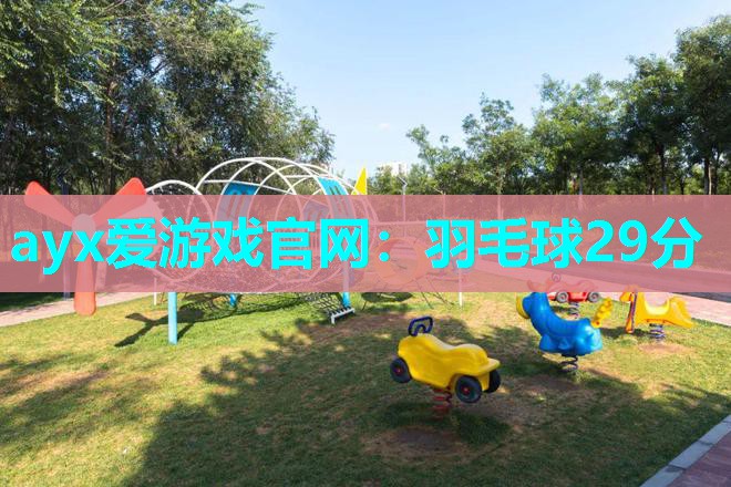 羽毛球29分