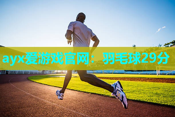羽毛球29分