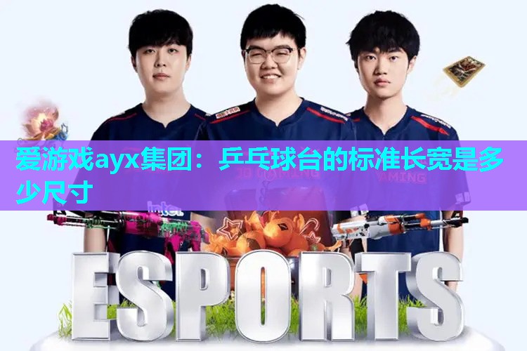 乒乓球台的标准长宽是多少尺寸