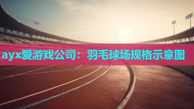 羽毛球场规格示意图