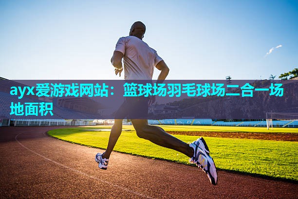 篮球场羽毛球场二合一场地面积