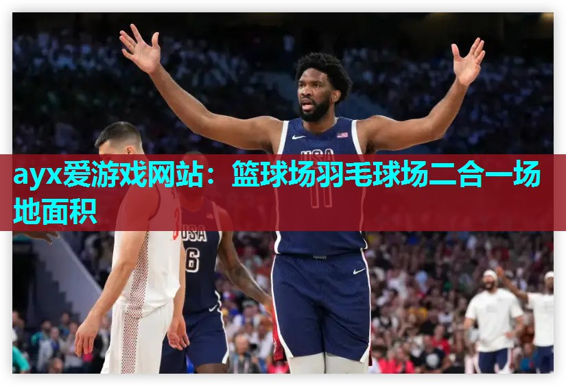 篮球场羽毛球场二合一场地面积