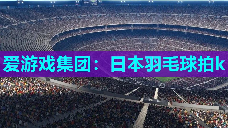 日本羽毛球拍k