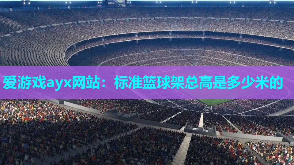 标准篮球架总高是多少米的