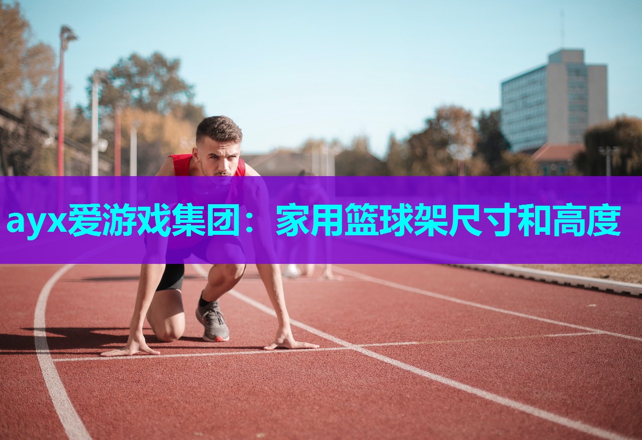 家用篮球架尺寸和高度