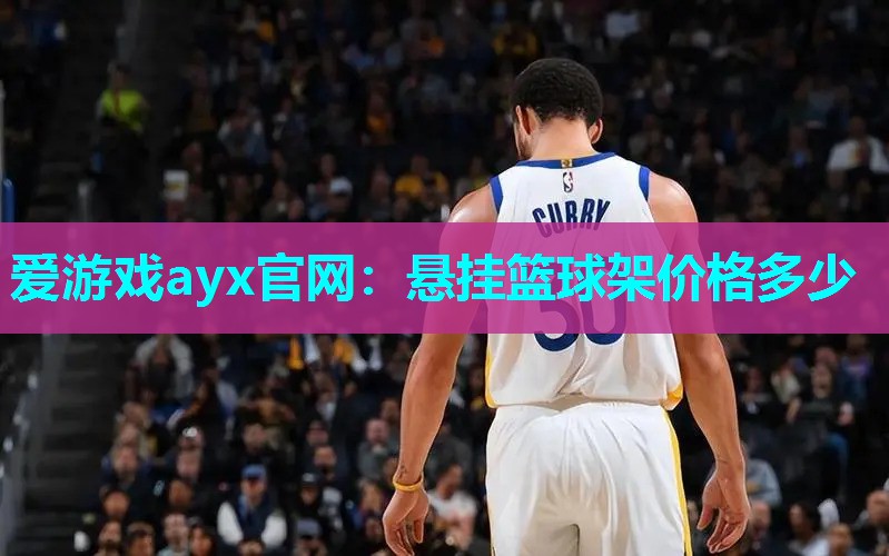 悬挂篮球架价格多少