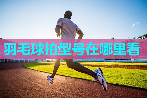 羽毛球拍型号在哪里看