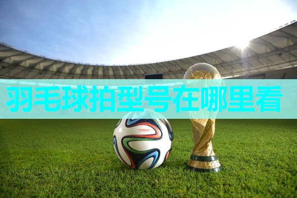 羽毛球拍型号在哪里看