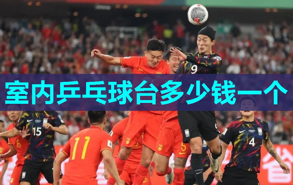 室内乒乓球台多少钱一个