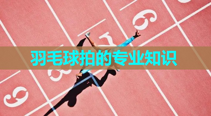 羽毛球拍的专业知识