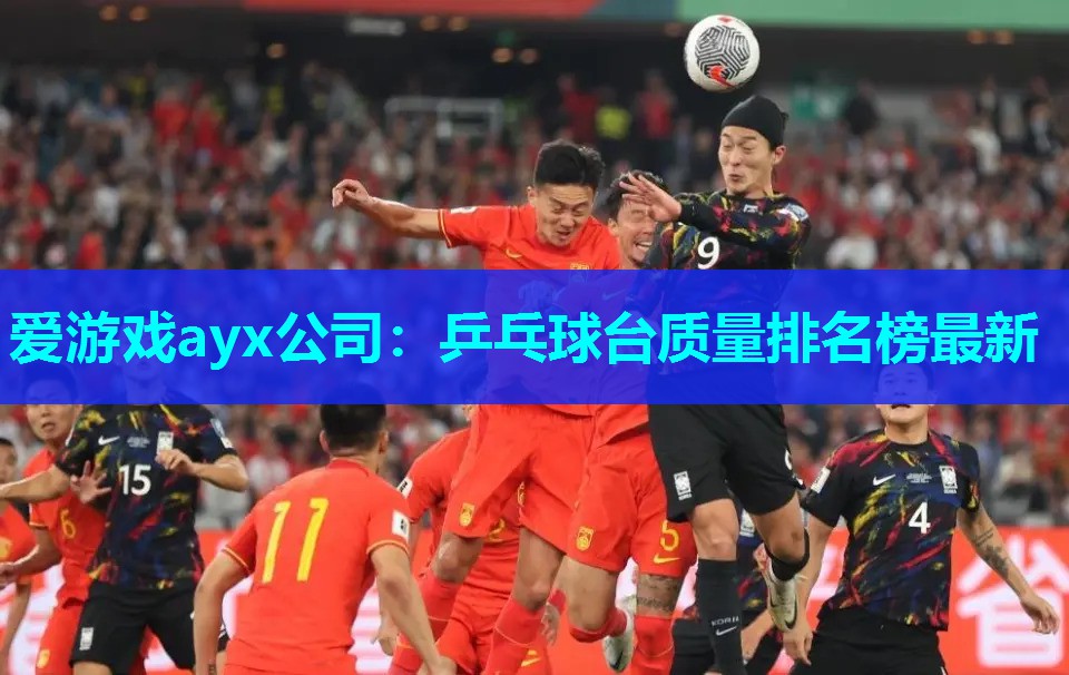 乒乓球台质量排名榜最新