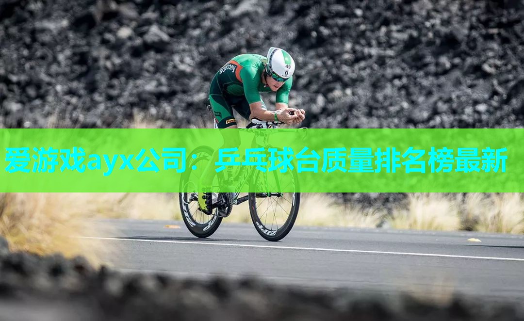 乒乓球台质量排名榜最新