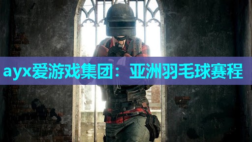 亚洲羽毛球赛程